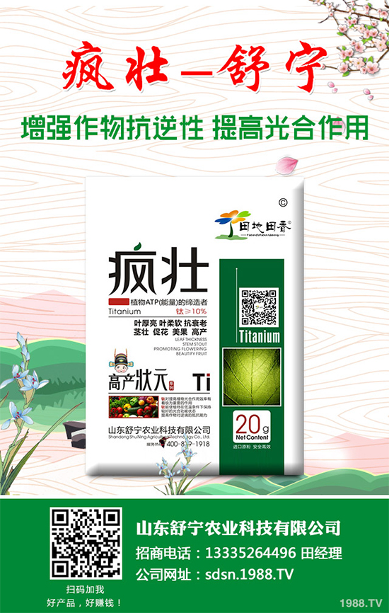 種植香菇需要投入多少？香菇種植成本利潤分析