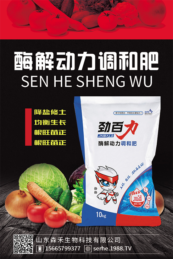 種植香菇需要投入多少？香菇種植成本利潤分析