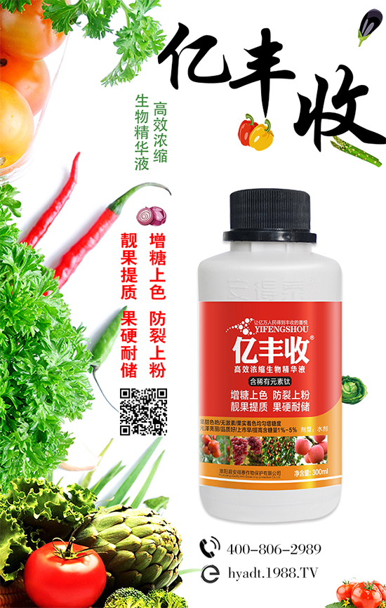 ����ꖿh����̩����ף�������������д��\���L�LؔԴ���Ҽ��Ҹ���	