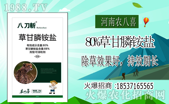 �������r(n��ng)��ϲ��ףȫ���������µ�һ�����_��󼪣��f��������