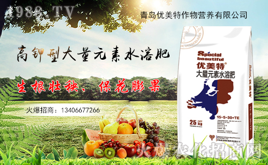 �����u��(y��u)���ء�ף��Һϼ҈F(tu��n)�A���Ҹ��옷���w�v���꣡