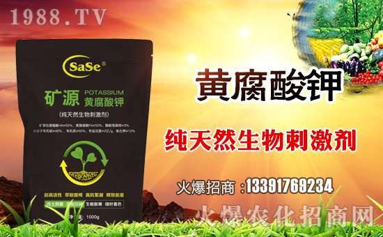 ���_˹���Q(m��o)��ȫ�w�T��ףȫ���������µ�һ����������\�����X�]�꣡