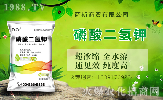 ���_˹���Q(m��o)��ȫ�w�T��ףȫ���������µ�һ����������\�����X�]�꣡