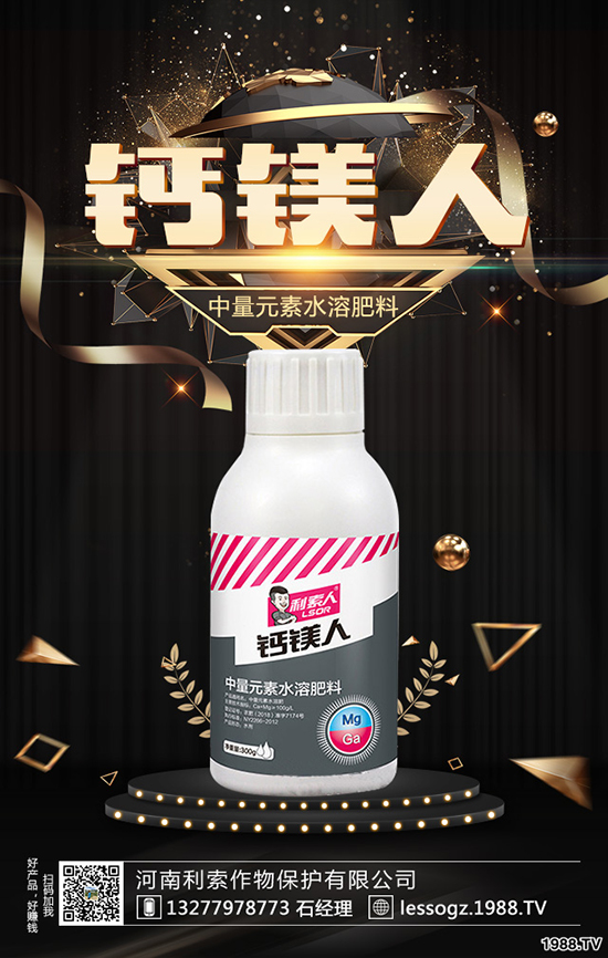 白菜價(jià)格多少錢一斤？白菜畝產(chǎn)多少斤？種植前景怎么樣？