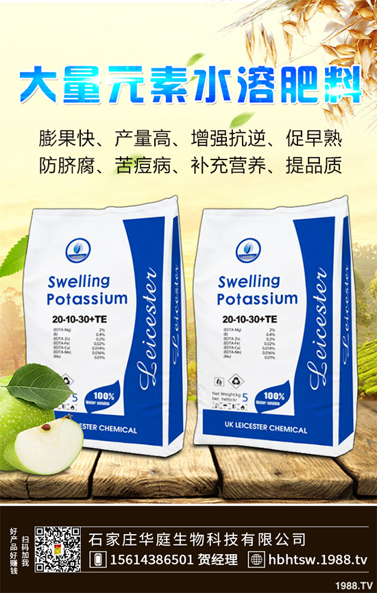 露地辣椒該如何施肥？露地辣椒高產(chǎn)施肥技術(shù)