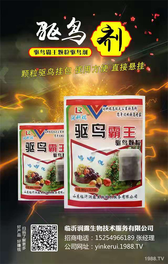 ���R�ʝ�¶���ףȫ���������µ�һ�꣬�������������·Q����һ�����!	