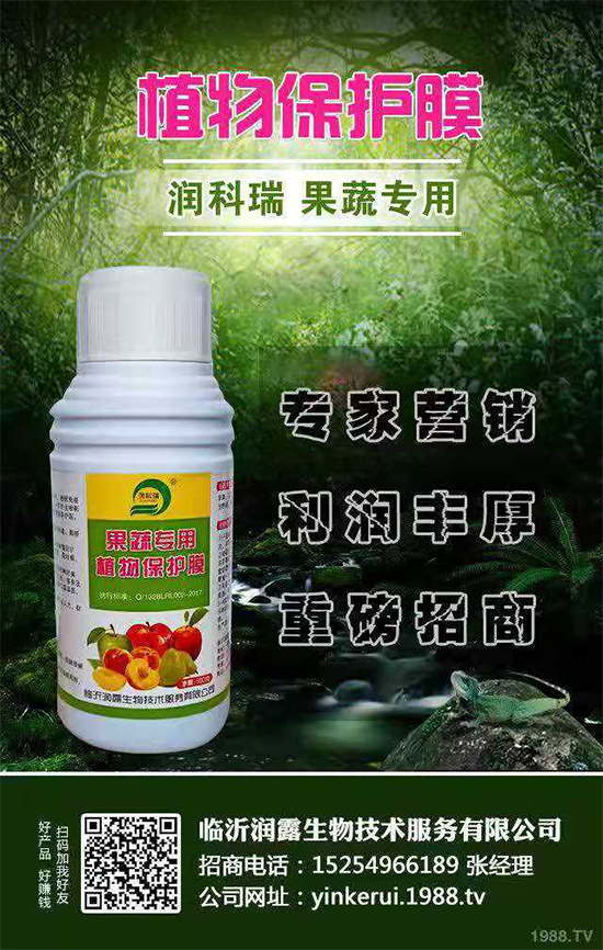 ���R�ʝ�¶���ףȫ���������µ�һ�����������������·Q����һ�����!	