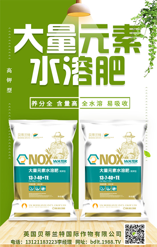 ��Ӣ��ؐ���m�ء�ף���g�gϲϲӭ�������f������ƽ���꣡