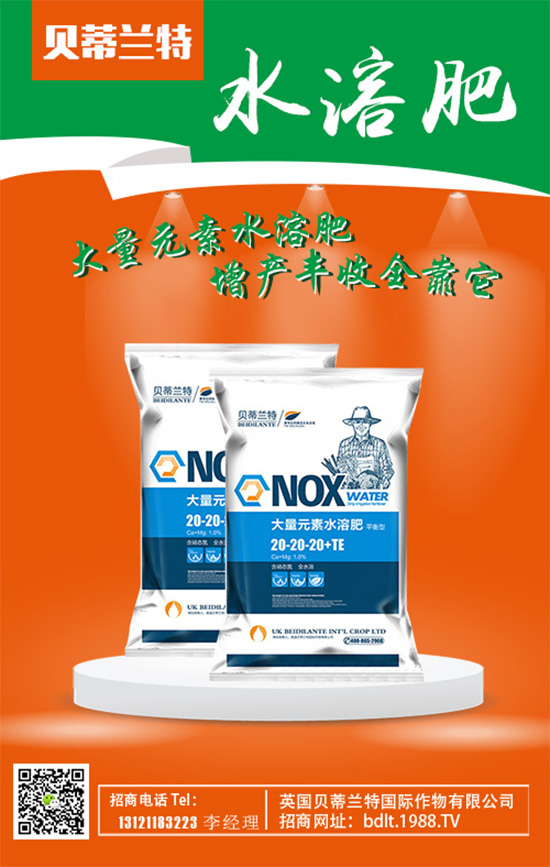 ��Ӣ��ؐ���m�ء�ף���g�gϲϲӭ�������f������ƽ������