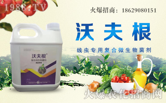 ��������ȫ�w�T��ף������µ�һ���������³����H�Қg����