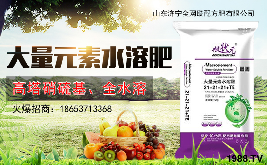 ����W(w��ng)(li��n)�䷽�ʡ�ף������µ�һ�����I(y��)�гɣ�����������