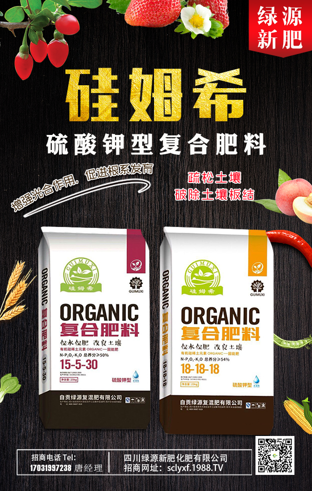 ���GԴ�·ʡ�ףһ·�߁������т����꼪�������\(y��n)�o����