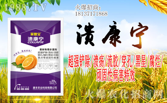 �����Ͽ��S�r�I(y��)��ףһ·�������т����w�������������