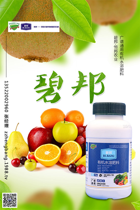 春季甘藍該如何種植？春甘藍高產(chǎn)管理技術