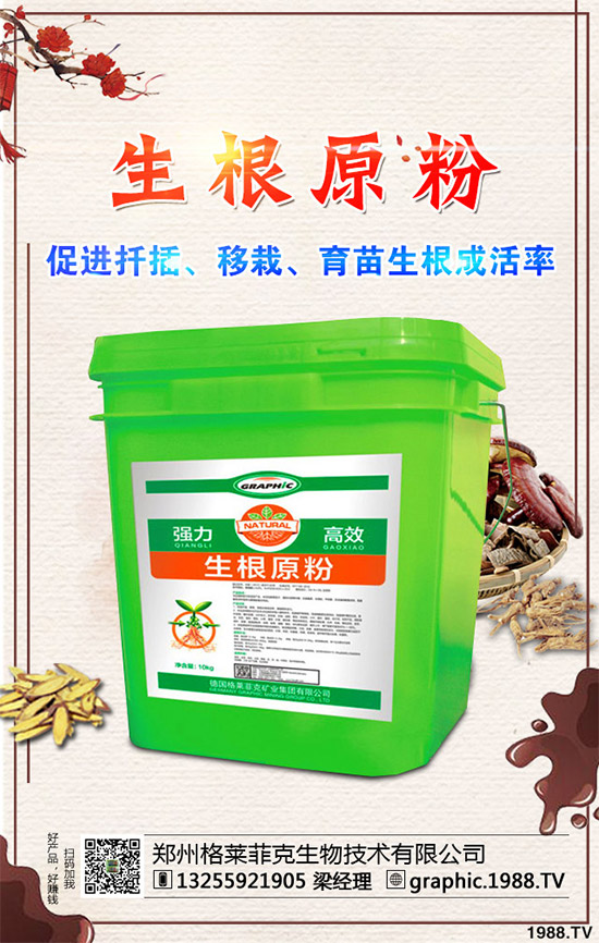 春季甘藍該如何種植？春甘藍高產(chǎn)管理技術