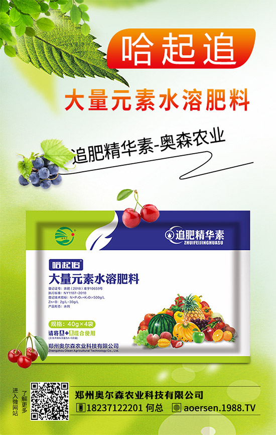 郁金香該如何種植？郁金香的種植管理方案