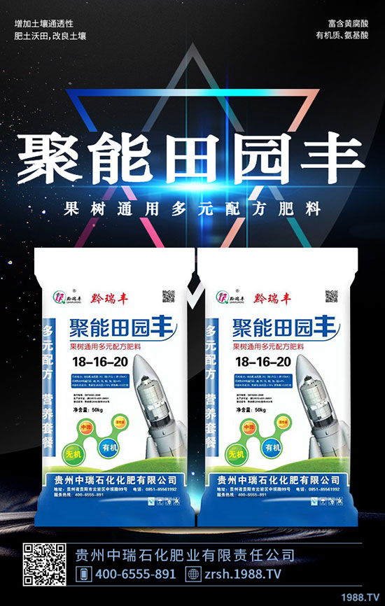 黑木耳的功效與作用，黑木耳營養(yǎng)價值及食用禁忌！