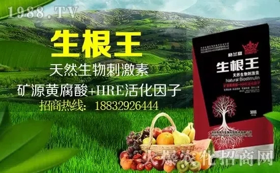 小麥漲價(jià)！個(gè)別報(bào)價(jià)超過(guò)2500元/噸！