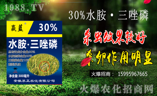 水稻鉆心蟲(chóng)防治難點(diǎn)有哪些？水稻鉆心蟲(chóng)危害及防治要點(diǎn)！