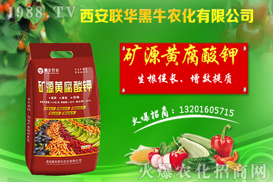 秋季果樹該如何管理？秋季果樹管理應(yīng)避免的四大誤區(qū)！