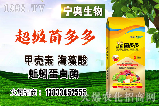 彩色花椰菜多少錢一斤?彩色花椰菜種植效益如何?怎樣種植?