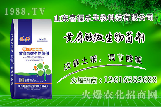 花生價(jià)格穩(wěn)中偏強(qiáng)！2020年10月14日花生價(jià)格行情分析