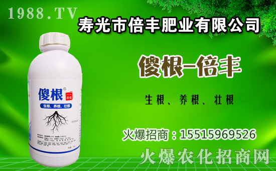 茄子種植該如何施肥？茄子的基肥與追肥方法！