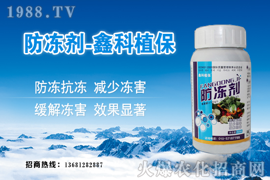 西葫蘆旺長(zhǎng)什么原因？西葫蘆如何控旺？西葫蘆旺長(zhǎng)補(bǔ)救措施！