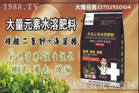 蔬菜旺長(zhǎng)有哪些危害？秋茬蔬菜控旺三要點(diǎn)！