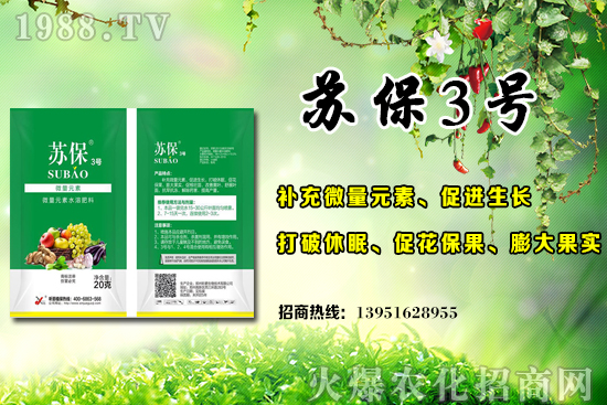 大棚黃瓜應(yīng)該在什么時候施肥？大棚黃瓜底肥施用的3個誤區(qū)！