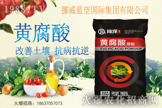 青花菜的采收標(biāo)準(zhǔn)是什么?如何正確采收青花菜?