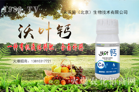 花生還會再漲嗎？2020年10月20日花生價格行情