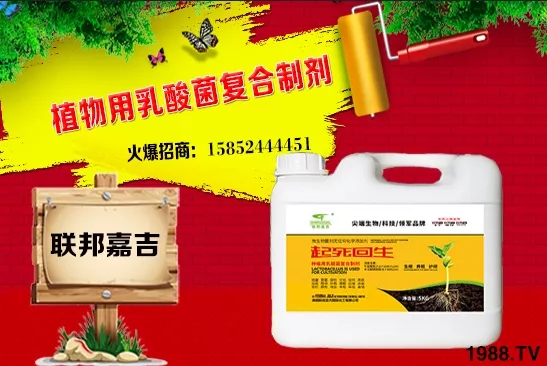 2020年10月20日小麥價(jià)格行情預(yù)測(cè)及分析 
