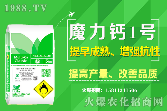 十月下旬適合種植什么中藥材？哪些中藥材賺錢(qián)收益高？