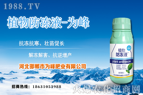 蘆薈的生長規(guī)律有哪些？蘆薈種植方法及種植注意事項！