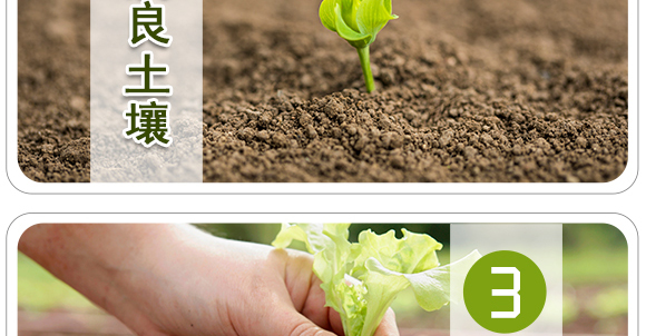 �����ЙC(j��)����Ԫ�ط�-��ʩ��_07