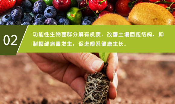 ������ɽ���}-��ʩؐ��-��ʩ��_06