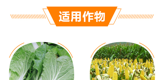 �����ЙC��Ԫ��-��ʩ��_09