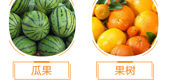 �����ЙC��Ԫ��-��ʩ��_11