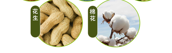 �����ЙC(j��)����Ԫ�ط�-��ʩ��_11