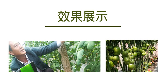 ������ɽ���}-��ʩؐ��-��ʩ��_12