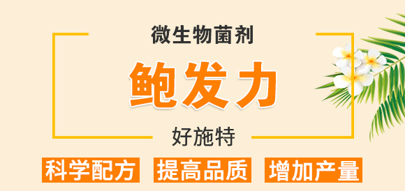 �����ЙC��Ԫ��-��ʩ��_01