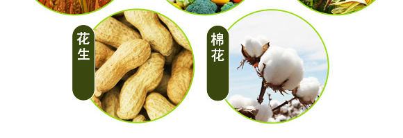 ������ɽ���}-��ʩؐ��-��ʩ��_11