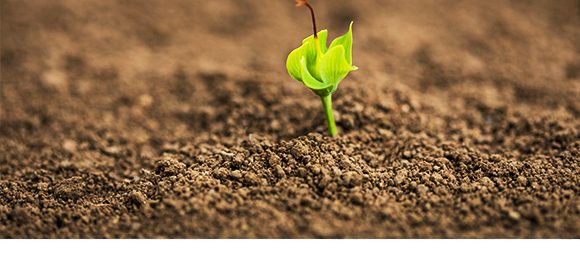 ������ɽ���}-��ʩؐ��-��ʩ��_08