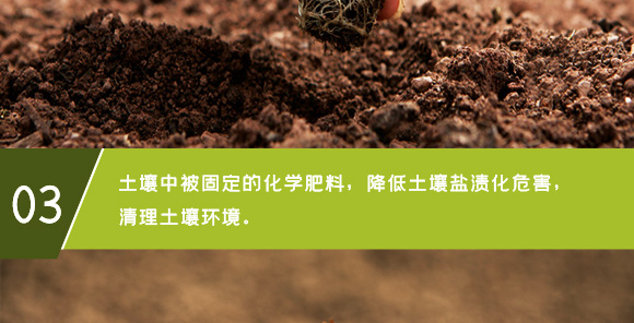 ������ɽ���}-��ʩؐ��-��ʩ��_07