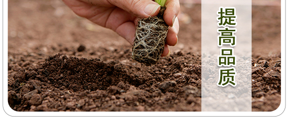 �����ЙC(j��)����Ԫ�ط�-��ʩ��_08