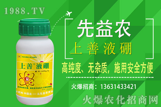 枇杷種植條件有哪些？枇杷種植要怎么施肥？