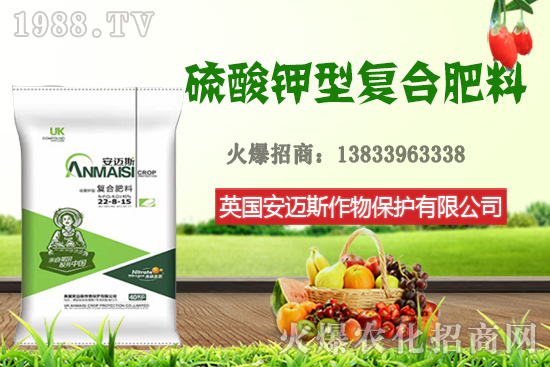 今日花生價(jià)格多少錢一斤？10月24日花生價(jià)格行情