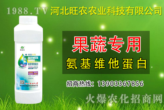 枇杷種植為什么會(huì)裂果呢?預(yù)防枇杷裂果措施有哪些?