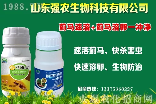 秋冬11月種植什么蔬菜比較合適？蔬菜種植注意事項！